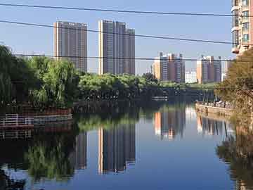 学习艺术交流课,艺术交流心得
